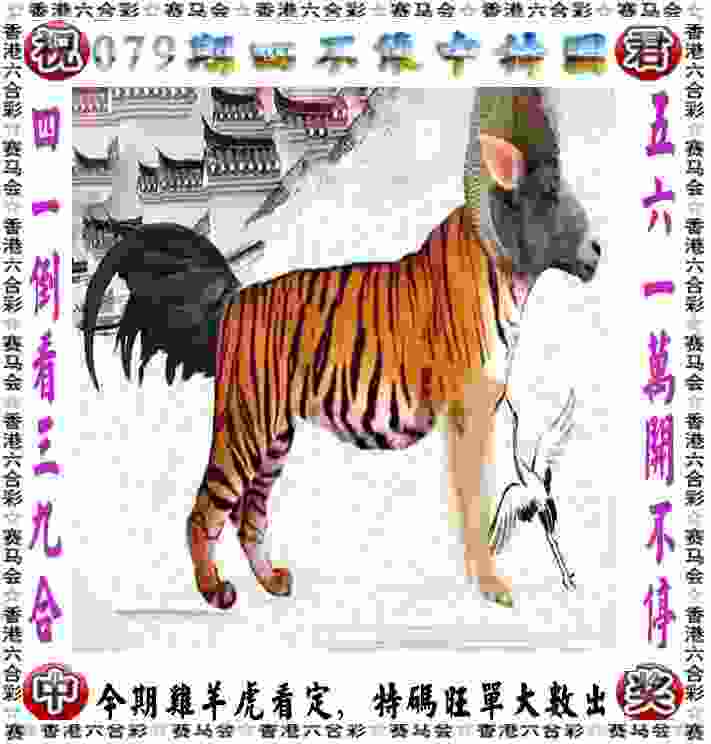 新澳门管家婆一特一中 v21.9.79.91 官方正式版 2